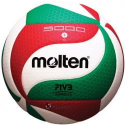 Piłka do siatkówki Molten V5M5000-X