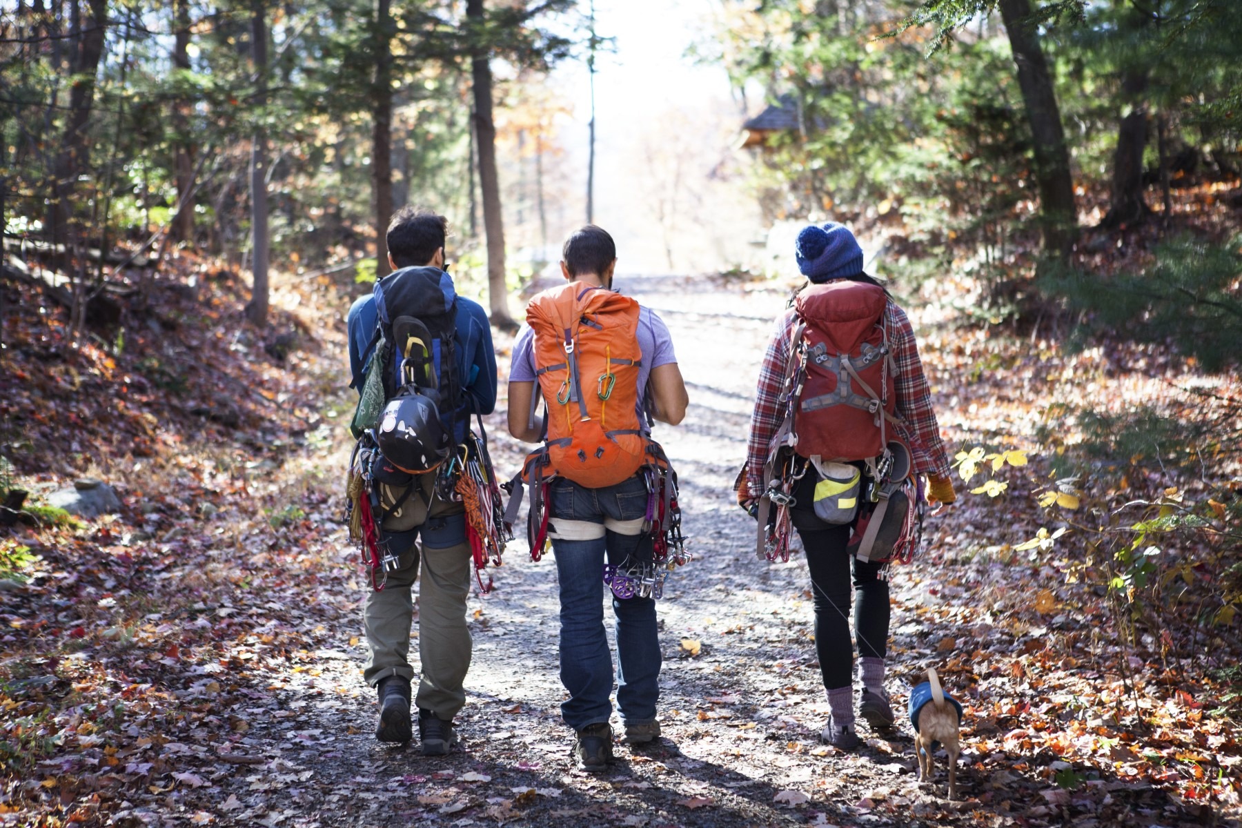 Wycieczki górskie dla początkujących – podpowiadamy, jak się do nich przygotować